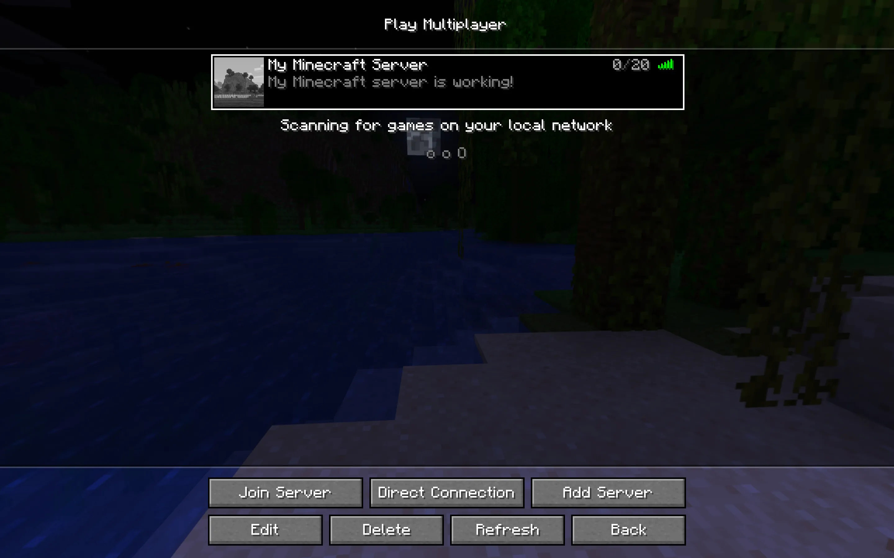 The Minecraft server is working!